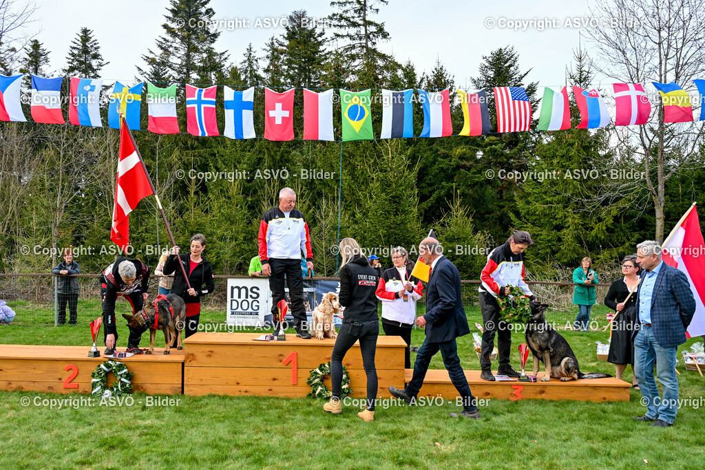 ASVÖ_ Tracking Dog World Championship 2025_ 05.04.2025-193 | bilder.asvo-sport - Realisiert mit Pictrs.com