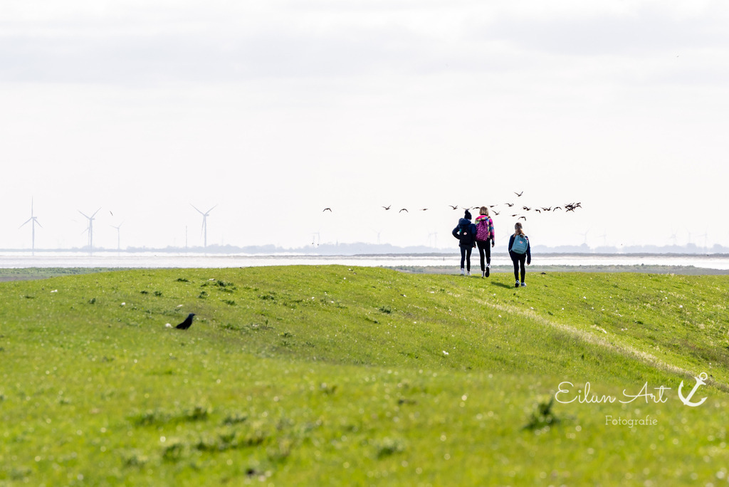 EAF_1059 | Eilun-Art-Fotografie Levke Martens, ihre Fotografin für Immobilien- und Landschaftsfotografie auf Föhr, Föhrer Motive als Poster, Leinwand, hinter Acrylglas oder stelle dir deinen eigenen Monatskalender zusammen, mit nur einem Klick