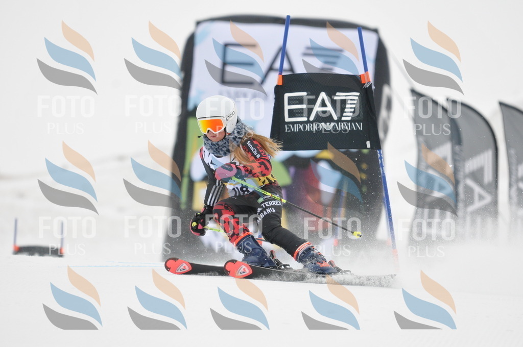 DSC_8194 | holidayphoto