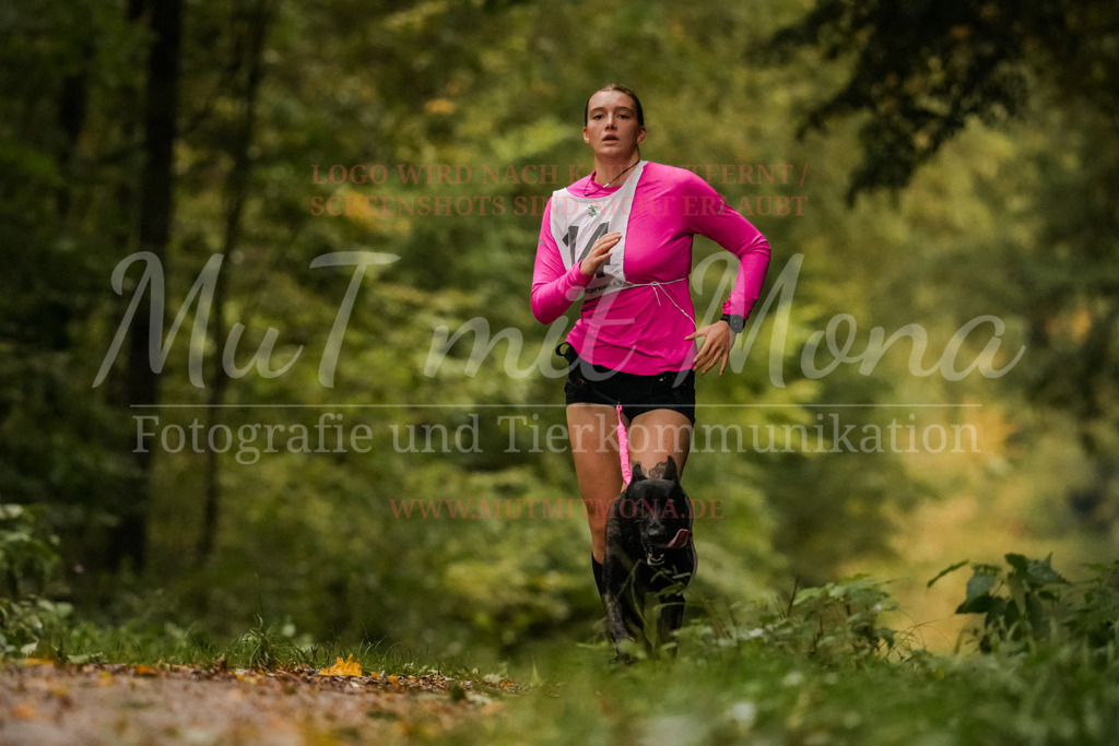 20251005_THS_Turnier-131 | MuT (Mensch und Tier) mit Mona - Fotografie und Tierkommunikation - Realisiert mit Pictrs.com