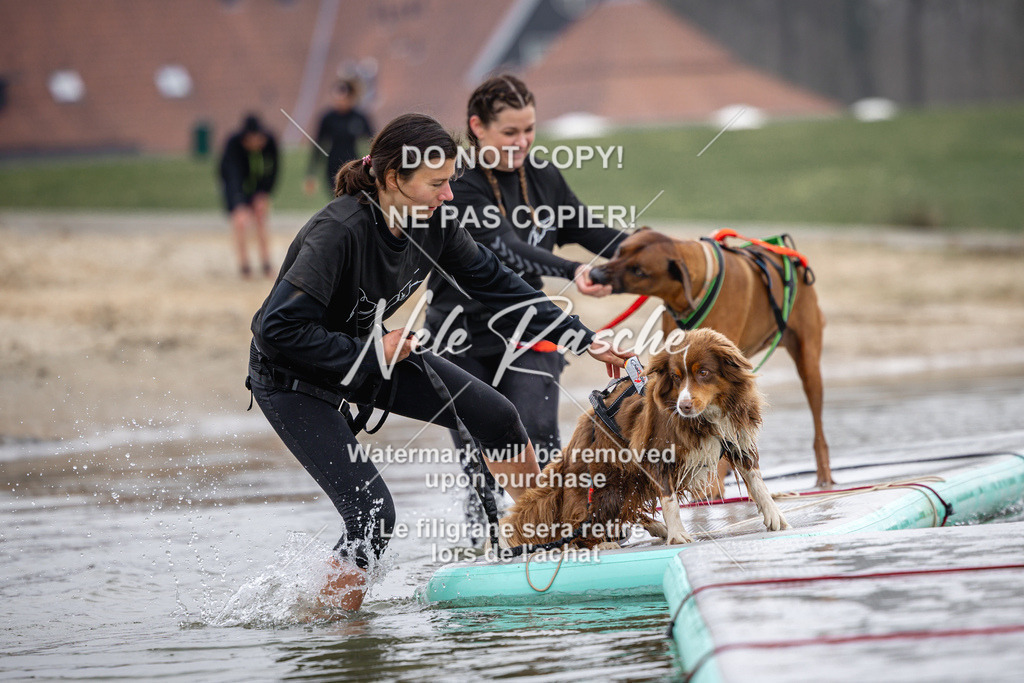 nelerasche_Hulsbeek_Sa1130-1230_320 | nelerasche