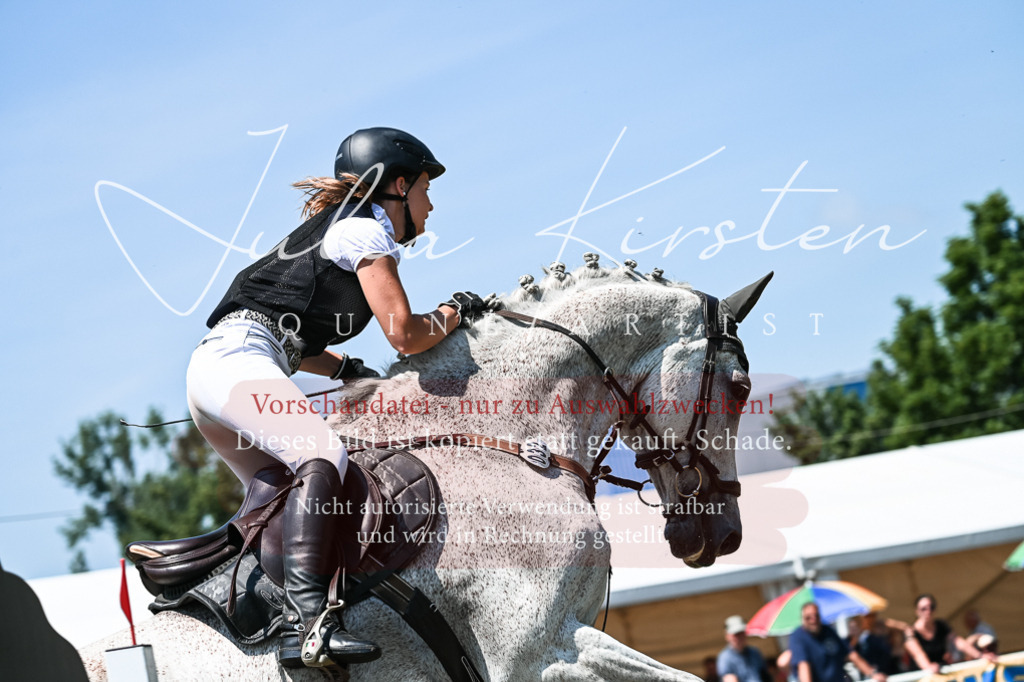 DSC_0308 | Pferde- und Turnierfotografie in Westsachsen. Pferdeportraits, Auftragszeichnungen und intuitive Kunst.