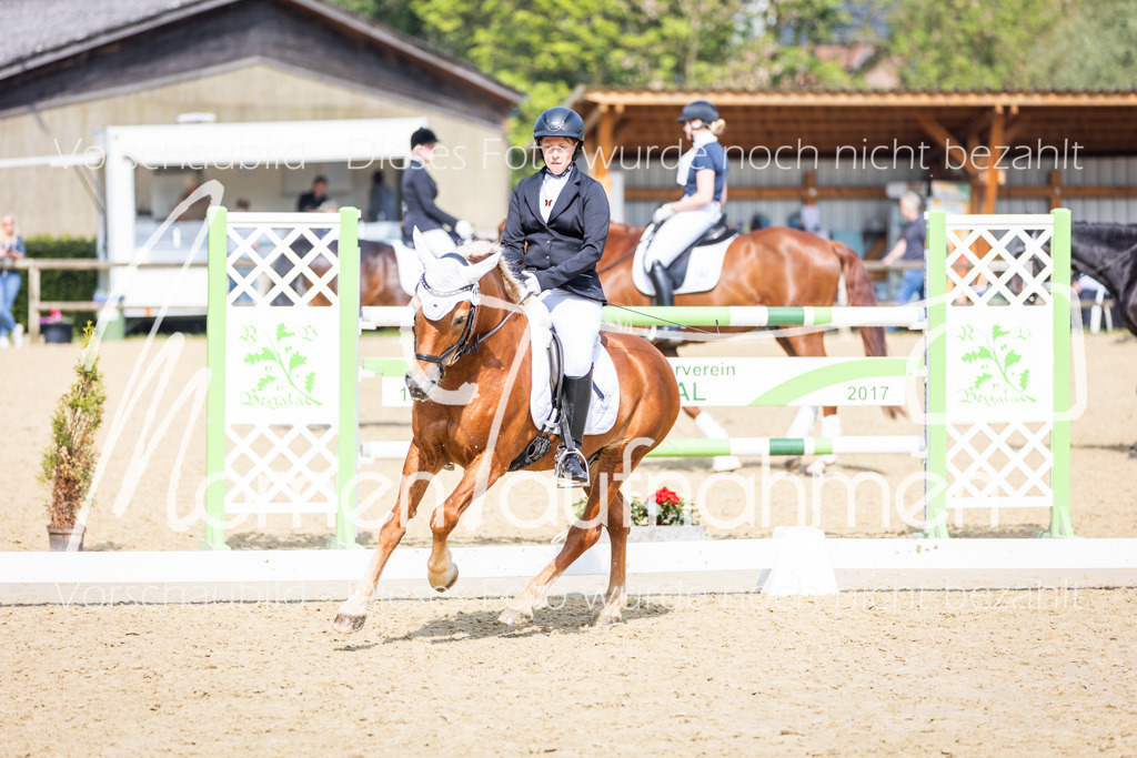 Donop24-A2-Dre-081 | MomenTaufnahmen Pferdesportfotos