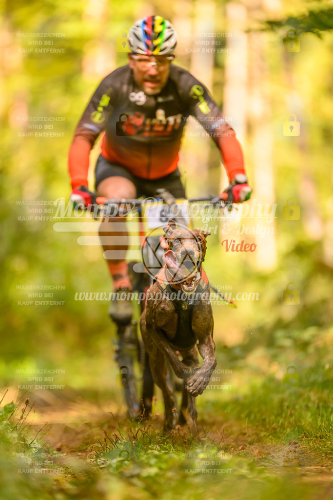 MompixPhotography_Yens2025_B2-157 | PayLife