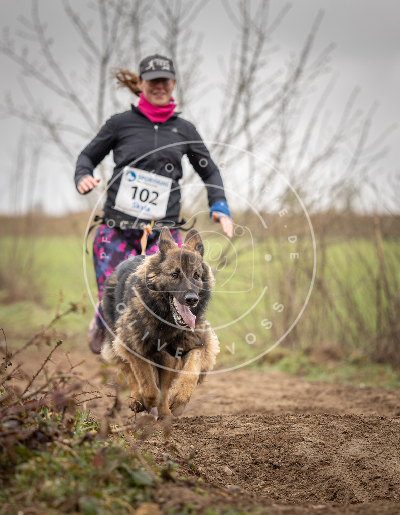 DV3A0172 | Hundefotografie, Tierfotograf, Pfotenfotografie, Fotoshooting Hund, Hunde Portrait, Hundesport, Hundeportraits, Heideshooting, Hunde, Sportfotograf, Hundefotograf, Turnierhundsport, THS,  - Realisiert mit Pictrs.com