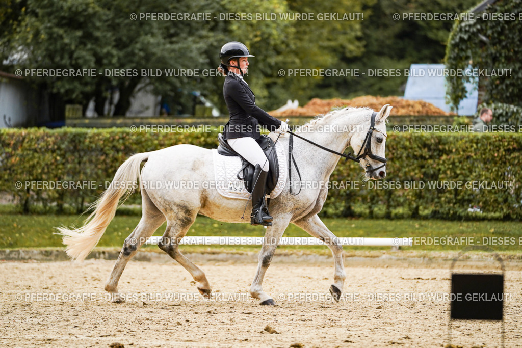 DSC07696 | Pferdegrafie