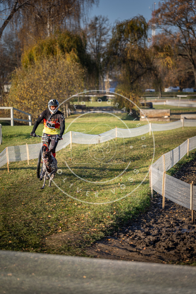 CaniXpix_DV3A1059 | Hundefotografie, Tierfotograf, Pfotenfotografie, Fotoshooting Hund, Hunde Portrait, Hundesport, Hundeportraits, Heideshooting, Hunde, Sportfotograf, Hundefotograf, Turnierhundsport, THS,  - Realisiert mit Pictrs.com