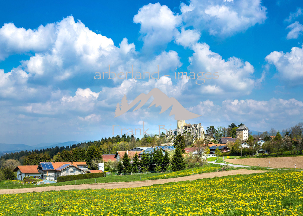 Unbenanntes_Panorama | über Frühlingswiesen zur Burgruine Weißenstein bei Regen