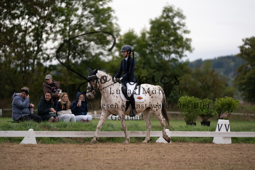 A7V05080 | Pferdefotograf