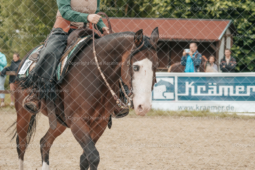 DSC00316 | ikphotography - Realisiert mit Pictrs.com