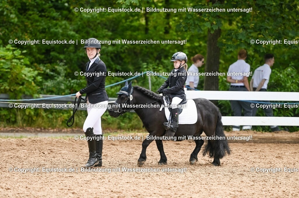 20230716_11_Führzügel-WB_0099 | equistock