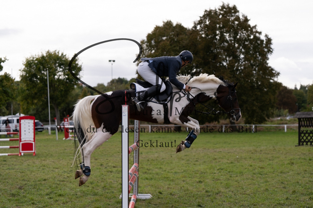 A7V07298 | Turnier/Reitfotograf