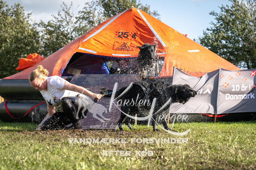 1403-93609 | kk-dogfotos