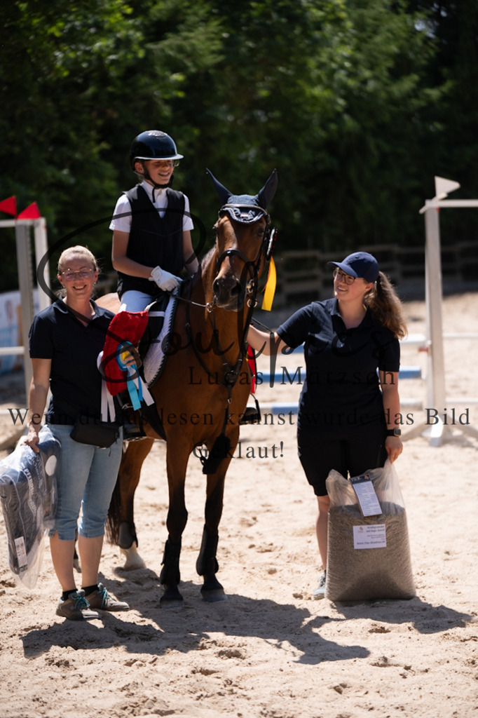 A7V08500 | Pferdefotograf