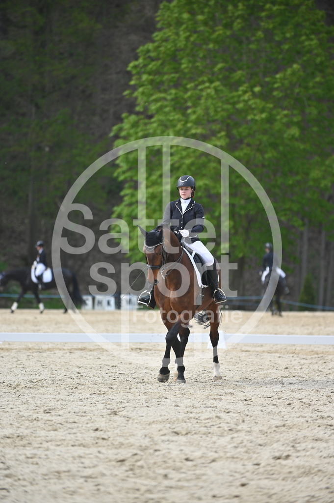 DSC_4963 | sattelsport - Realisiert mit Pictrs.com