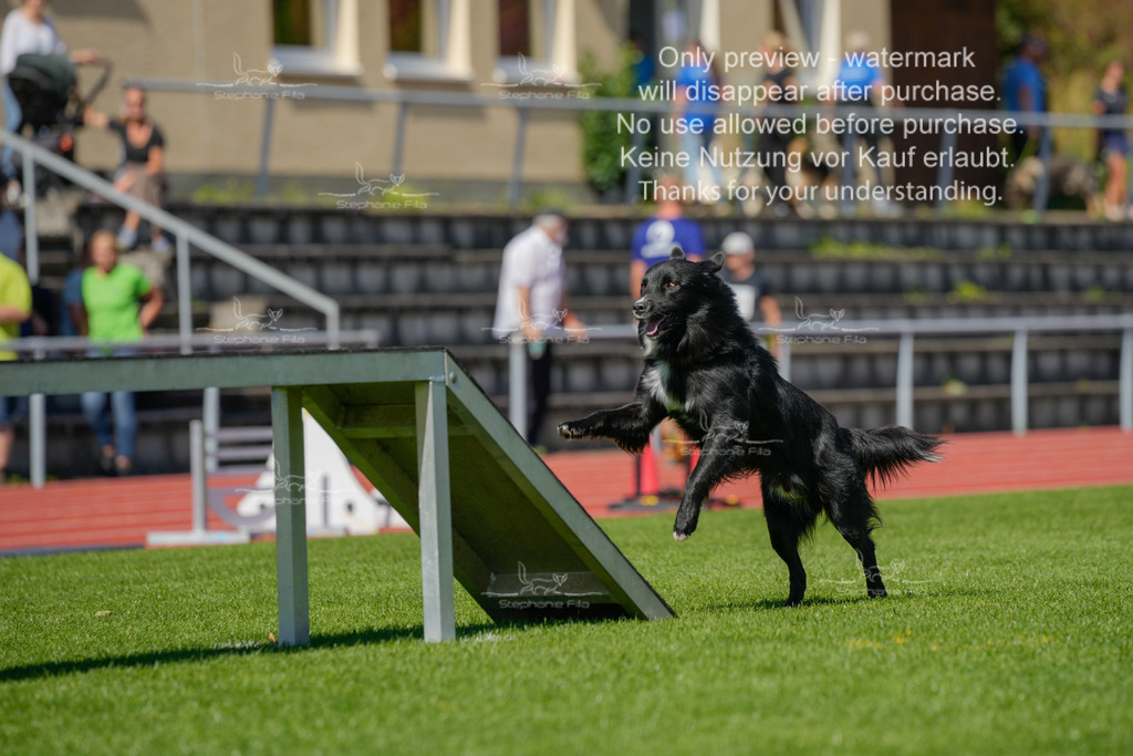 Sonntag_VK Hindernis (76 von 671) | stephaniefillaphotographie - Realisiert mit Pictrs.com