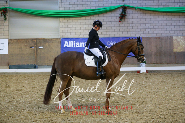 IMG_2997 | Turnierfotos kaufen im Webshop von Daniel Kuhl Photography – entdecke professionelle Reitsportfotos aus Turnieren & Events. Hochwertige Turnierbilder online bestellen & sichern. Jetzt Fotos von Reitsportturnieren kaufen!