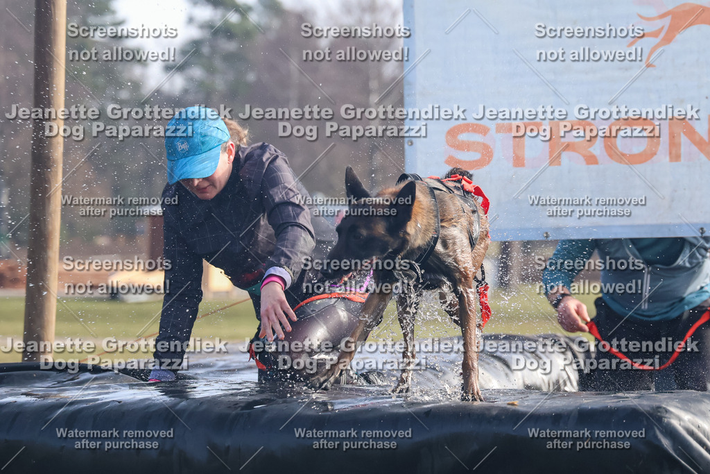 Dog Paparazzi - Strongdog North Mrz26-420 | Dog Paparazzi Jeanette Grottendiek Fotografie & Videografie - Realisiert mit Pictrs.com