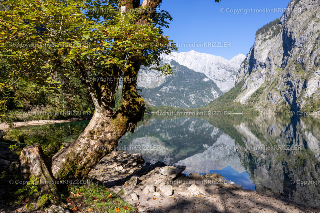Königssee | medienkrizzler - Realisiert mit Pictrs.com