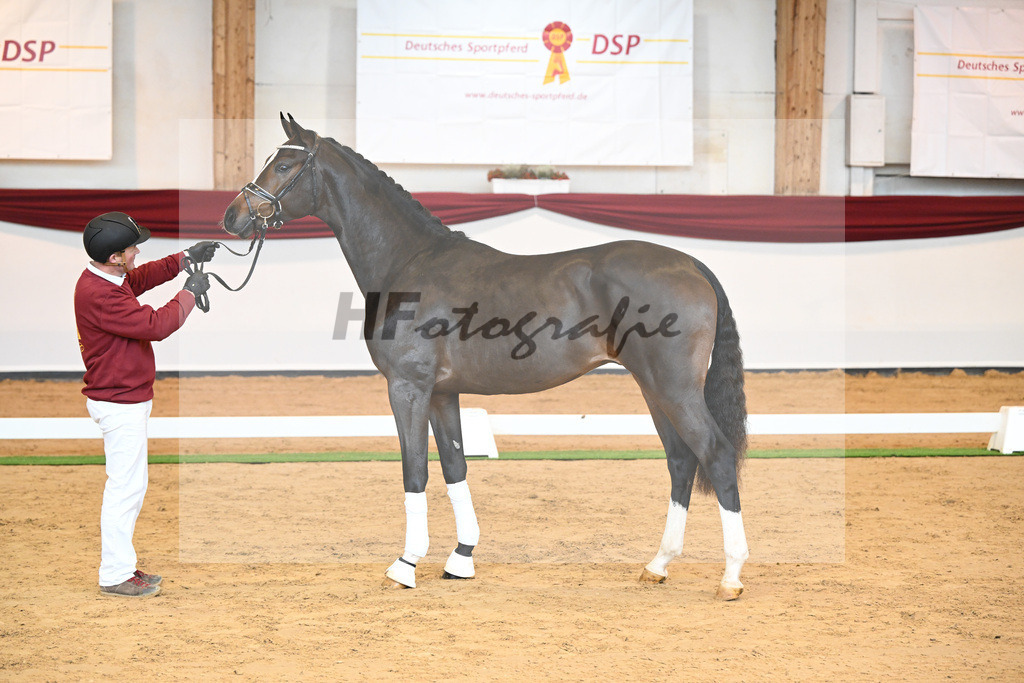 Kat-Nr. 31 v. Ferrantino_Lehner_66221800 | hf-fotografie - Realisiert mit Pictrs.com