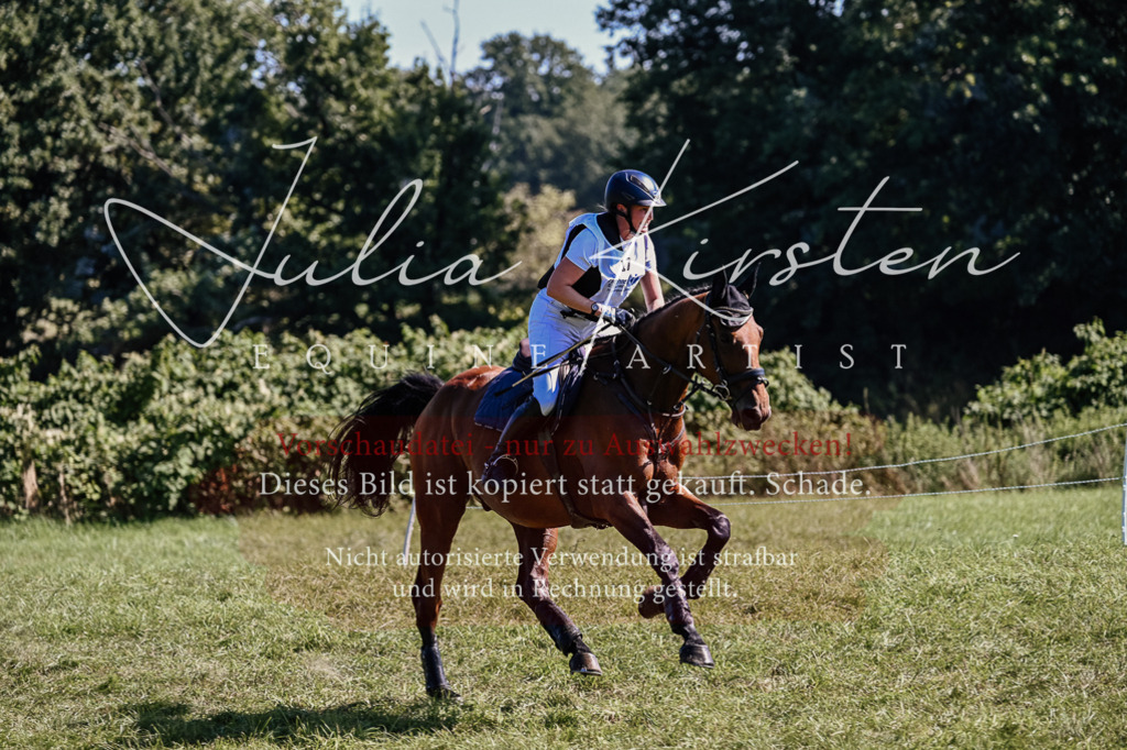 DSC_2012 | Pferde- und Turnierfotografie in Westsachsen. Pferdeportraits, Auftragszeichnungen und intuitive Kunst.