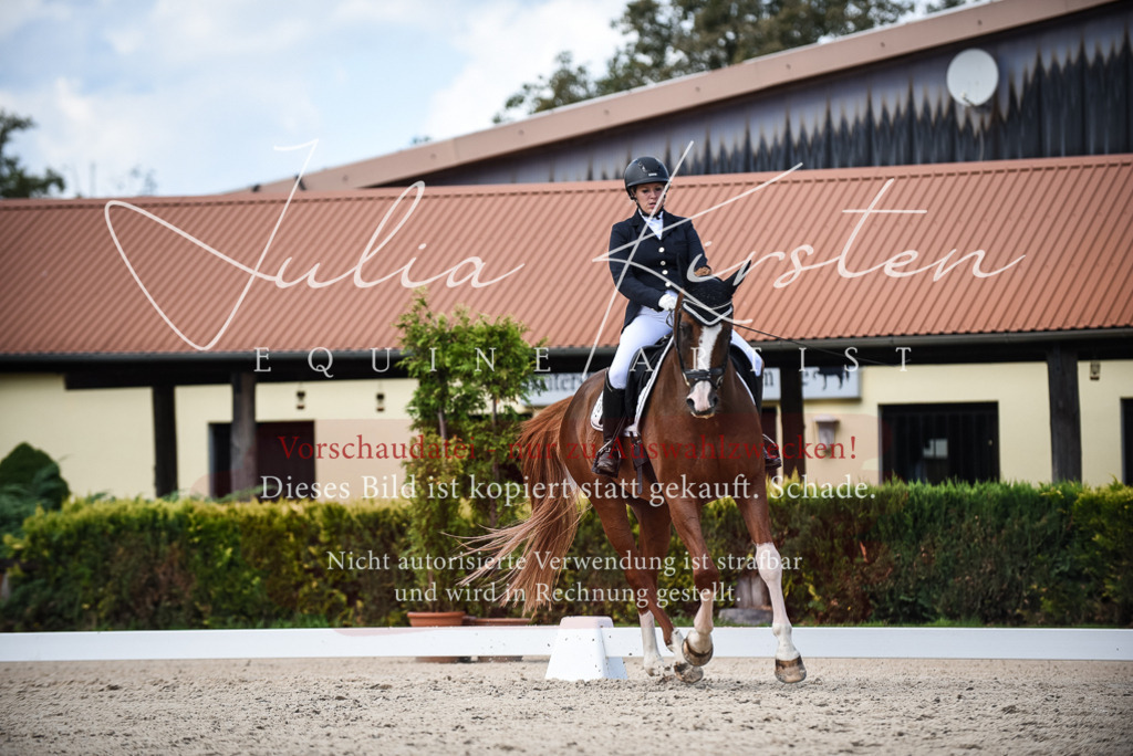 DSC_9333 | Pferde- und Turnierfotografie in Westsachsen. Pferdeportraits, Auftragszeichnungen und intuitive Kunst.
