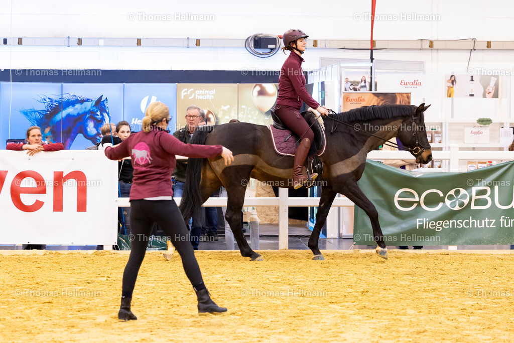 TH_Osteo Dressage_27399 | EQUITANA 2025 am 12.03.25 in Essen