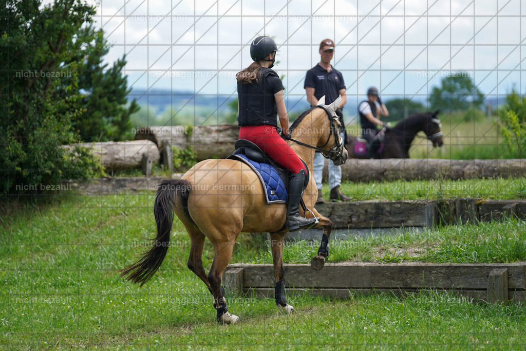 20240622-FAH07361 | Turnierfotografen Bayern, Reitsportbilder aus dem Geländekurs mit Felix Etzel auf dem Gut Waitzacker 2024