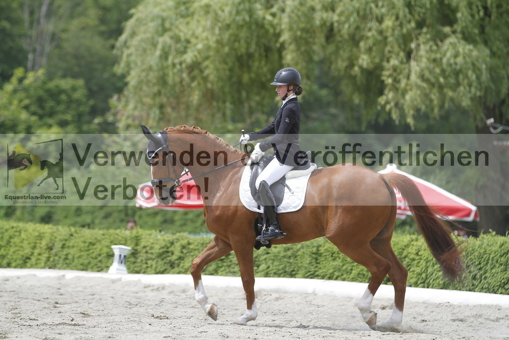 _MG_9179 | equestrian-live-com