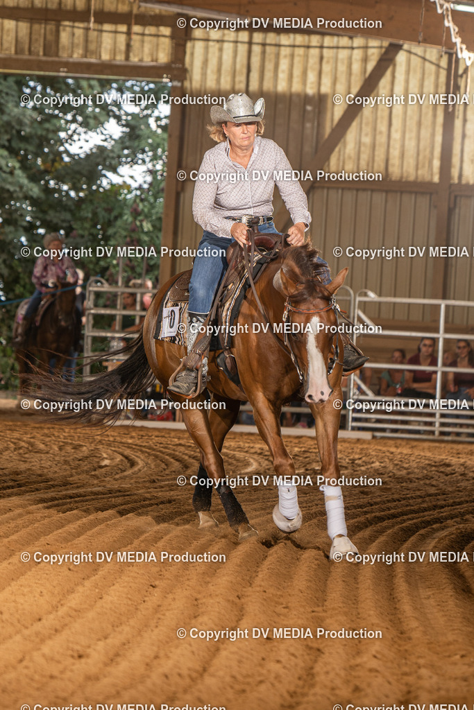 NID02254 | dv-media-shop - Realisiert mit Pictrs.com