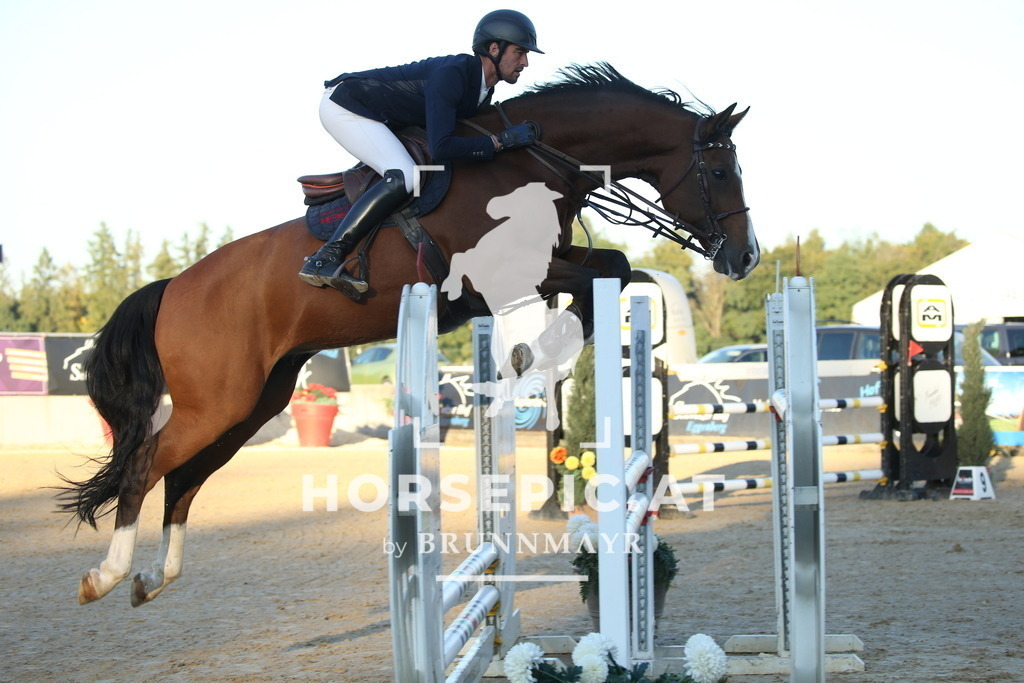 DL2Q4543 | Willkommen bei Brunnmayr - Design & Fotografie – Ihrem Spezialisten für Reitturniere und Pferdeveranstaltungen in Oberösterreich, Salzburg und Bayern! Seit über 17 Jahren sind wir leidenschaftlich dabei.