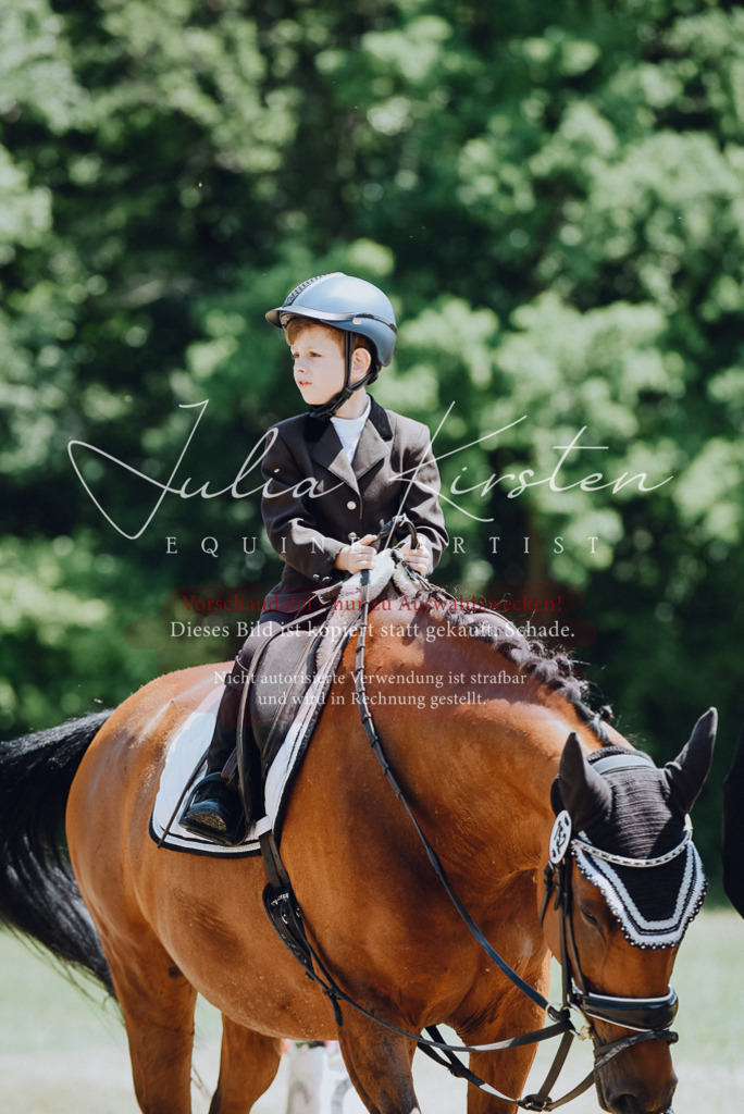 DSC_2104 | Pferde- und Turnierfotografie in Westsachsen. Pferdeportraits, Auftragszeichnungen und intuitive Kunst.
