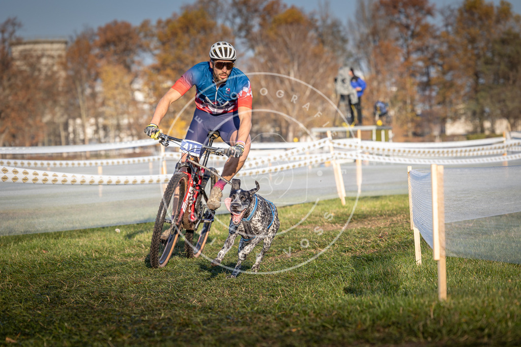 CaniXpix_0L8A4049 | Hundefotografie, Tierfotograf, Pfotenfotografie, Fotoshooting Hund, Hunde Portrait, Hundesport, Hundeportraits, Heideshooting, Hunde, Sportfotograf, Hundefotograf, Turnierhundsport, THS,  - Realisiert mit Pictrs.com