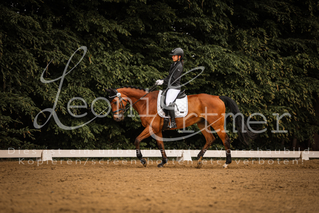 DoDrE00111 | Leoni Ertmer Photography - Realisiert mit Pictrs.com