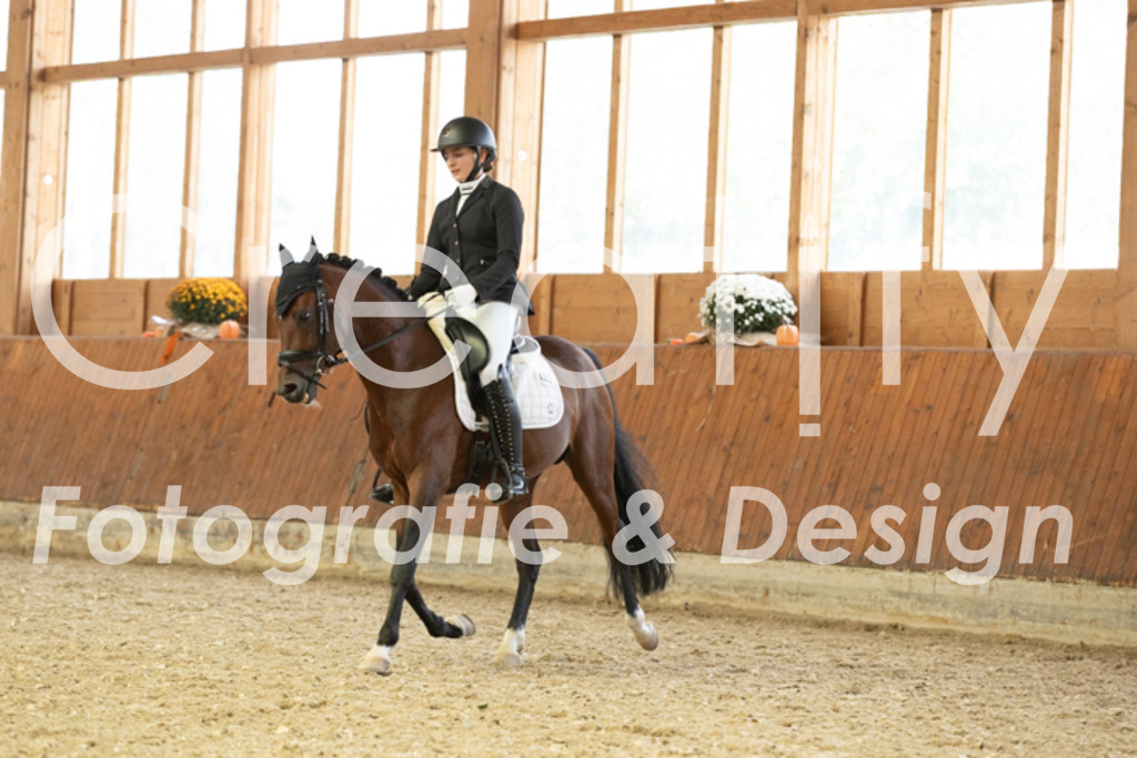 IMG_5975 | Creatify Fotografie