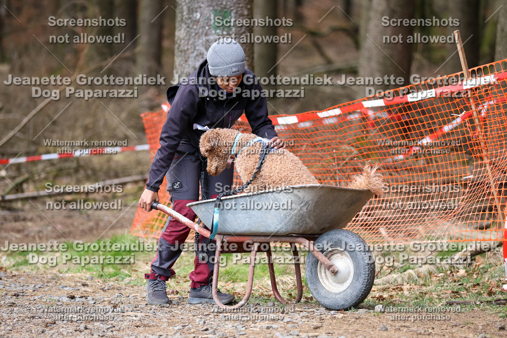 Dog Paparazzi - VCC26-826 | Dog Paparazzi Jeanette Grottendiek Fotografie & Videografie - Realisiert mit Pictrs.com