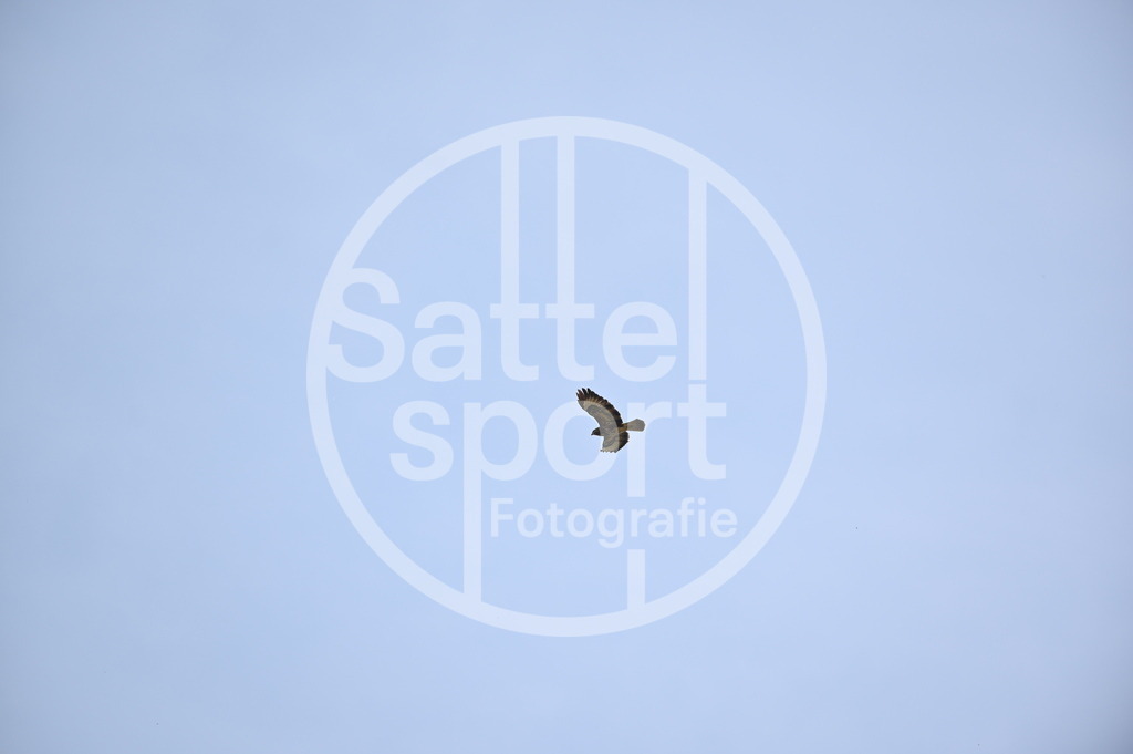 DSC_4568 | sattelsport - Realisiert mit Pictrs.com