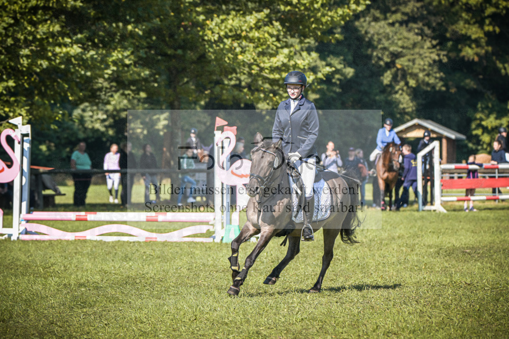 DOS_0167 | Entdecke hochwertige Reitturnierfotos von Foto Oger. Professionell, emotional und authentisch – jetzt Lieblingsmomente im Shop bestellen.Deutschlandweite Turnierfotografie. - Realisiert mit Pictrs.com