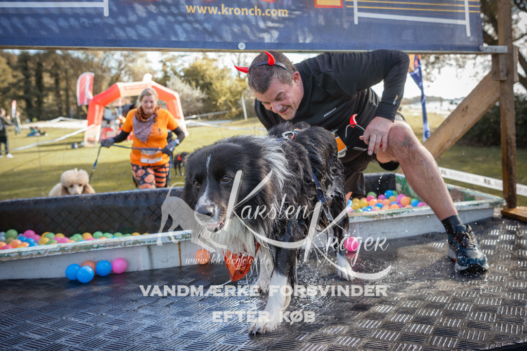 1307_ZZ99150-2 | kk-dogfotos