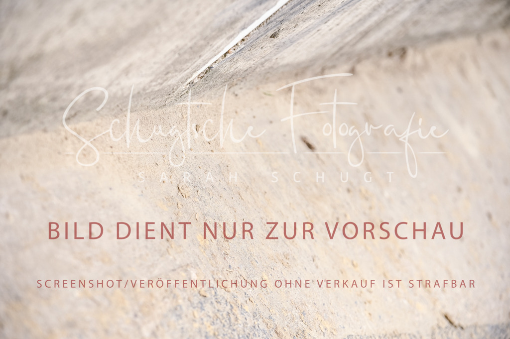 Schugtsche-Aluta25-42.EDressur -101 | Schugtsche Fotografie - Realisiert mit Pictrs.com