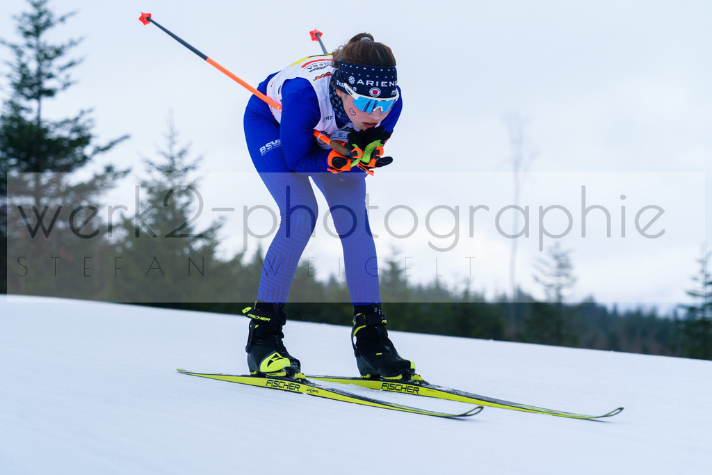 DSC Arber | Bayerischer Wald am 9. bis 12. Februar 2023
