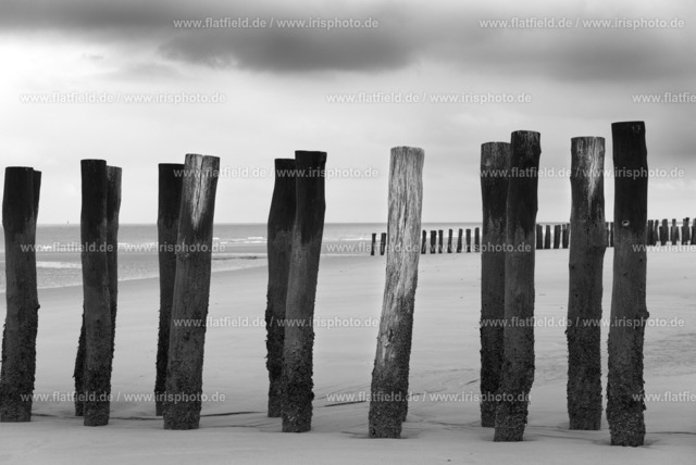 Holzpfähle im Meer bei Wissant II | Gesehen in der Normandie