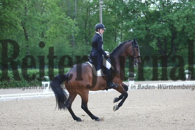 Böblingen_2023_Prfg_Nr.01_Dressur_Kl.S_Kür_Lisa Steisslinger_Caddylack (13) | Alle Fotos der Reiterjournal Fotografin Doris Matthaes im Reiterjournal Online-Fotoshop. - Realisiert mit Pictrs.com