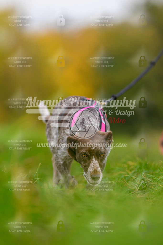 MompixPhotography_CDLBDB2025_DI_CC-170 | PayLife