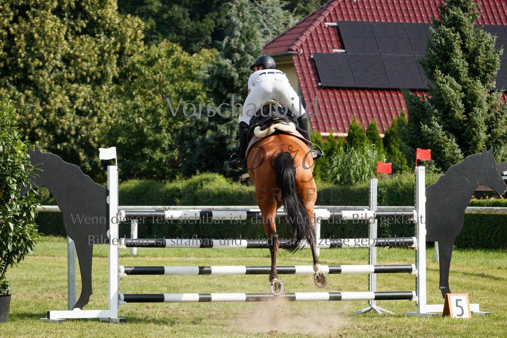 IMG_3761 | P. Berger Fotografie - Realisiert mit Pictrs.com