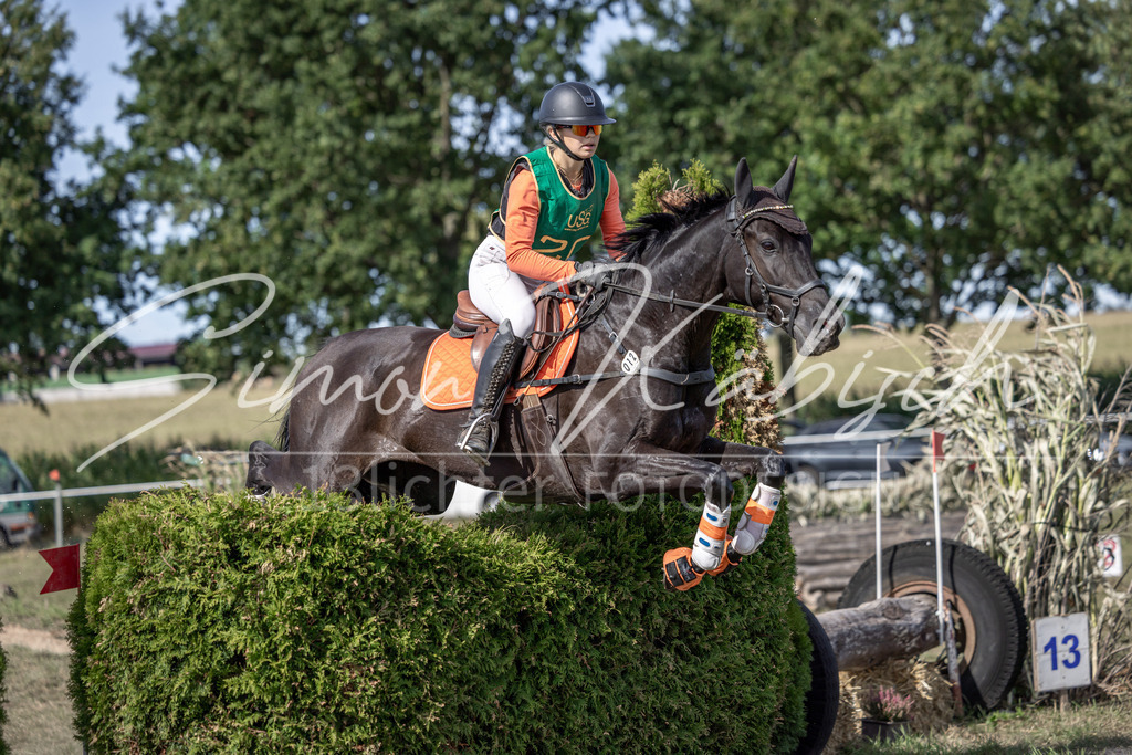 20250907-_3LI2143 | Tierfotografie Pferde, Hunde, Katzen, Haustiere.
Turnierfotografie Reitturniere, Reiten, Springreiten, Dressur in Hanau, dem Main-Kinzig-Kreis und dem Rhein-Main- Gebiet um Frankfurt