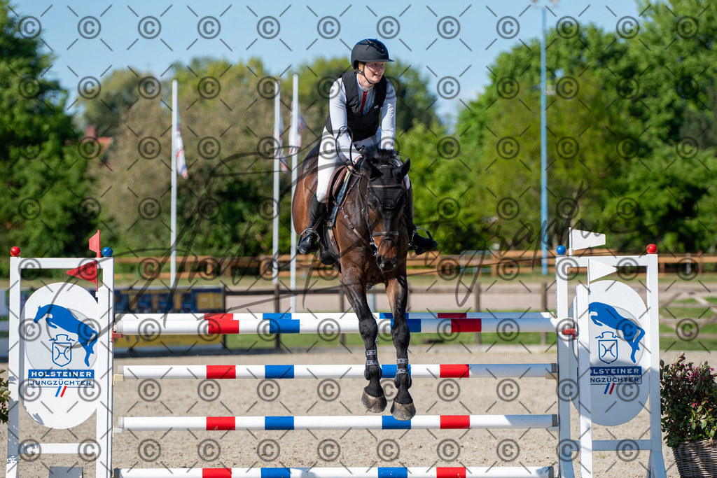 KPT_1707 | andre_photographic