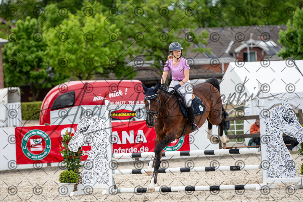 KPT_7130 | andre_photographic