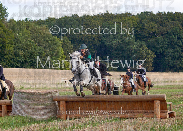 08-23 Bredeneek Jagd_MCH8739_Marina Hewig | Fotografie, FotoArt, PferdesportArt, Pferdesportfotografie, Landschaftsfotografie, Reisefotografie, Reise, Pferde - Realisiert mit Pictrs.com