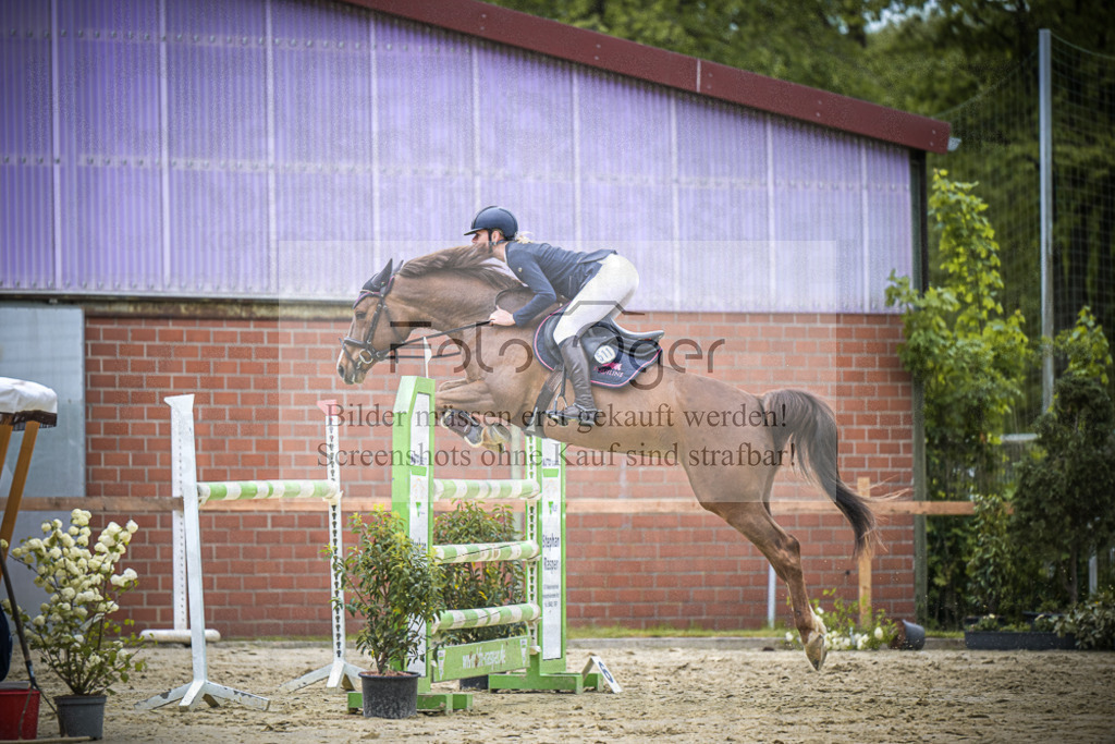 DOS_0611 | Entdecke hochwertige Reitturnierfotos von Foto Oger. Professionell, emotional und authentisch – jetzt Lieblingsmomente im Shop bestellen.Deutschlandweite Turnierfotografie. - Realisiert mit Pictrs.com